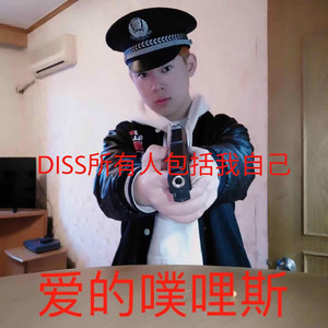 DISS所有参与的人包括我自己