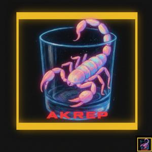AKREP (demo Version)
