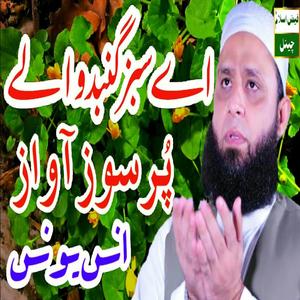 aye sabz gumbad wale | Mufti anas younus new naat | anas younus