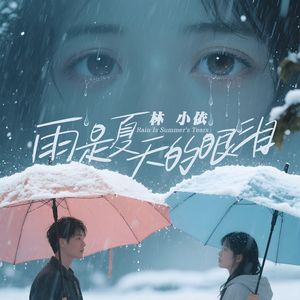 雨是夏天的眼泪