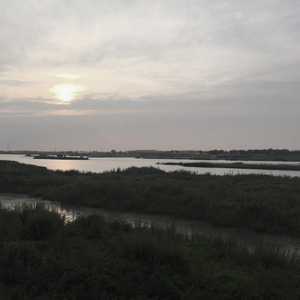 独立诗篇(instrumental)