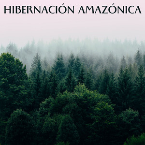 Sonidos Del Canal De La Montaña