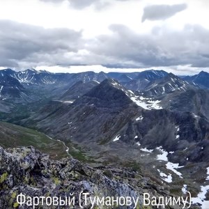 Фартовый (Туманову Вадиму)