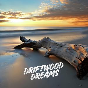 Driftwood Dreams