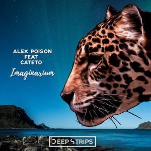 Imaginarium (Original Mix)