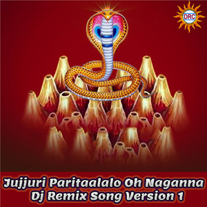 Jujjuri Paritaalalo Oh Naganna (Dj Remix Version 1)