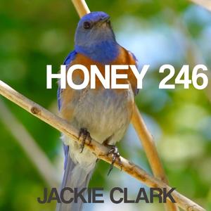 Honey 246