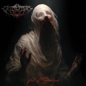 Veil of Shadows