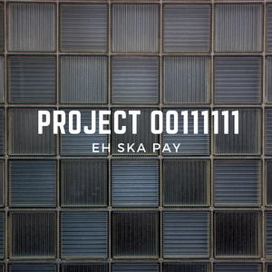 Project 00111111