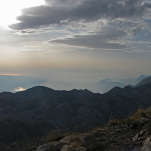 Протяни мне руку