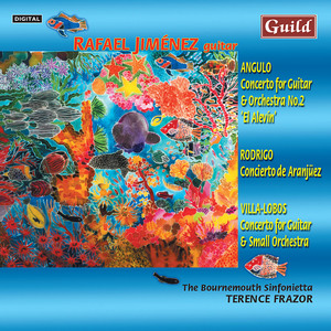 Concerto for Guitar and Orchestra No. 2 El Alevin, 1. Allegro Assai