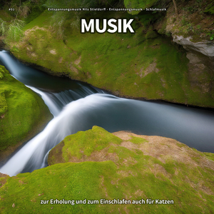 Inspirierende Sphäre