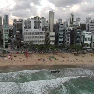 Eu quero gritar é campeão