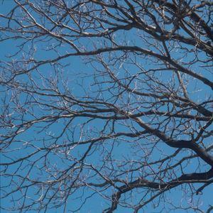 写给我第一个喜欢的女孩的歌