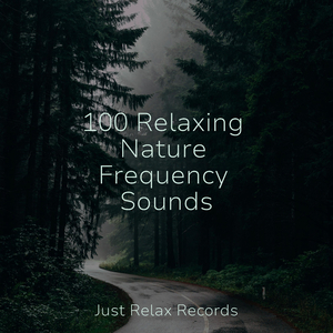 Whispering Oak Symphony