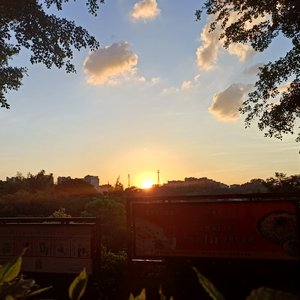 麻麻的话母の言