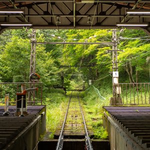 便利店冰柜剩半瓶柠檬水