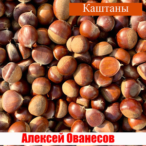 Каштаны