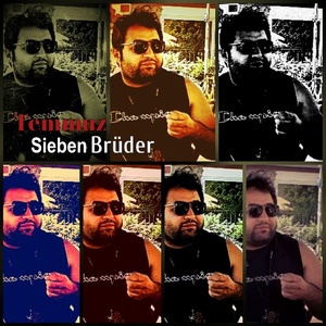 Sieben Brüder