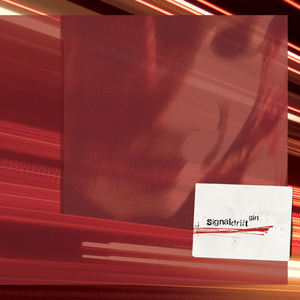 Little Girl Lost in the Woods