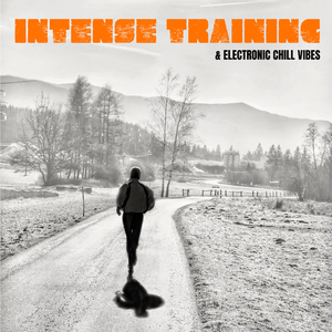 Quick in Shape (113 Bpm)