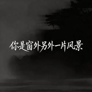 你是窗外另外一片风景