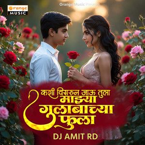 Kasa Visrun Jau Tula Majya Gulabachya Fula (Dj Amit Rd)