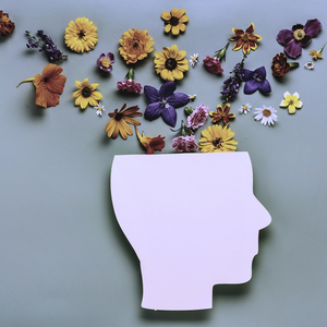 Following the Lights