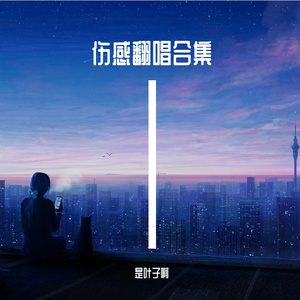 姑娘别哭泣(K歌版）