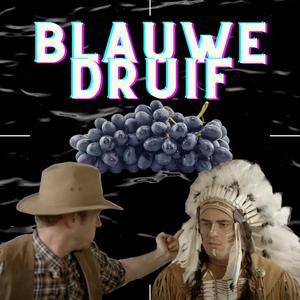 Blauwe Druif