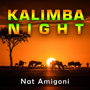 Kalimba Night