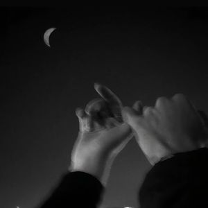 Moonlight
