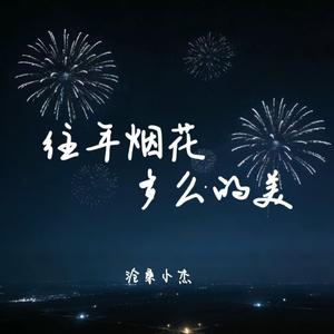 往年烟花多么的美