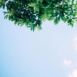 Please meet a better girl