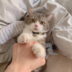 我想念（翻自 汪苏泷）