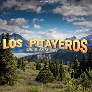 Los Pitayeros de Baymena-Un Suspiro