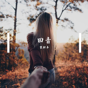 回音(remix)