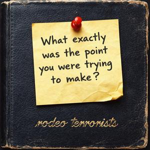 What exactly was the point you were trying to make?