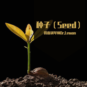 种子（seed）