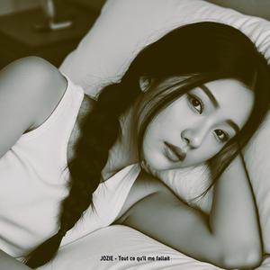 Tout ce qu'il me fallait