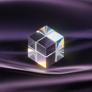 그 도시의 사랑법