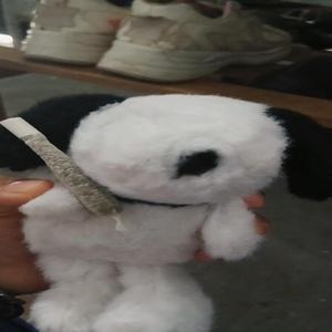 los malaventurados si lloran