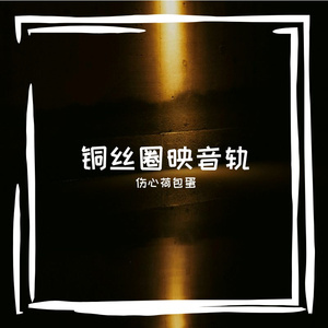 铜丝圈映音轨