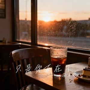 只是你不在了