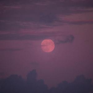 Night Cruising（降调版）