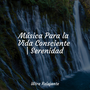 Pausas De Descanso
