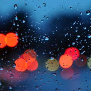 梅花赋(翻唱版）