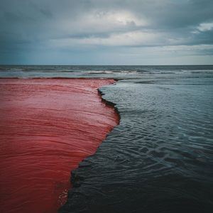 Drown
