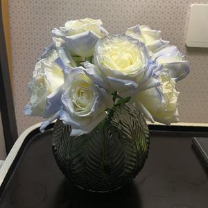 第三十四朵玫瑰