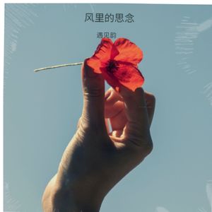 风里的思念